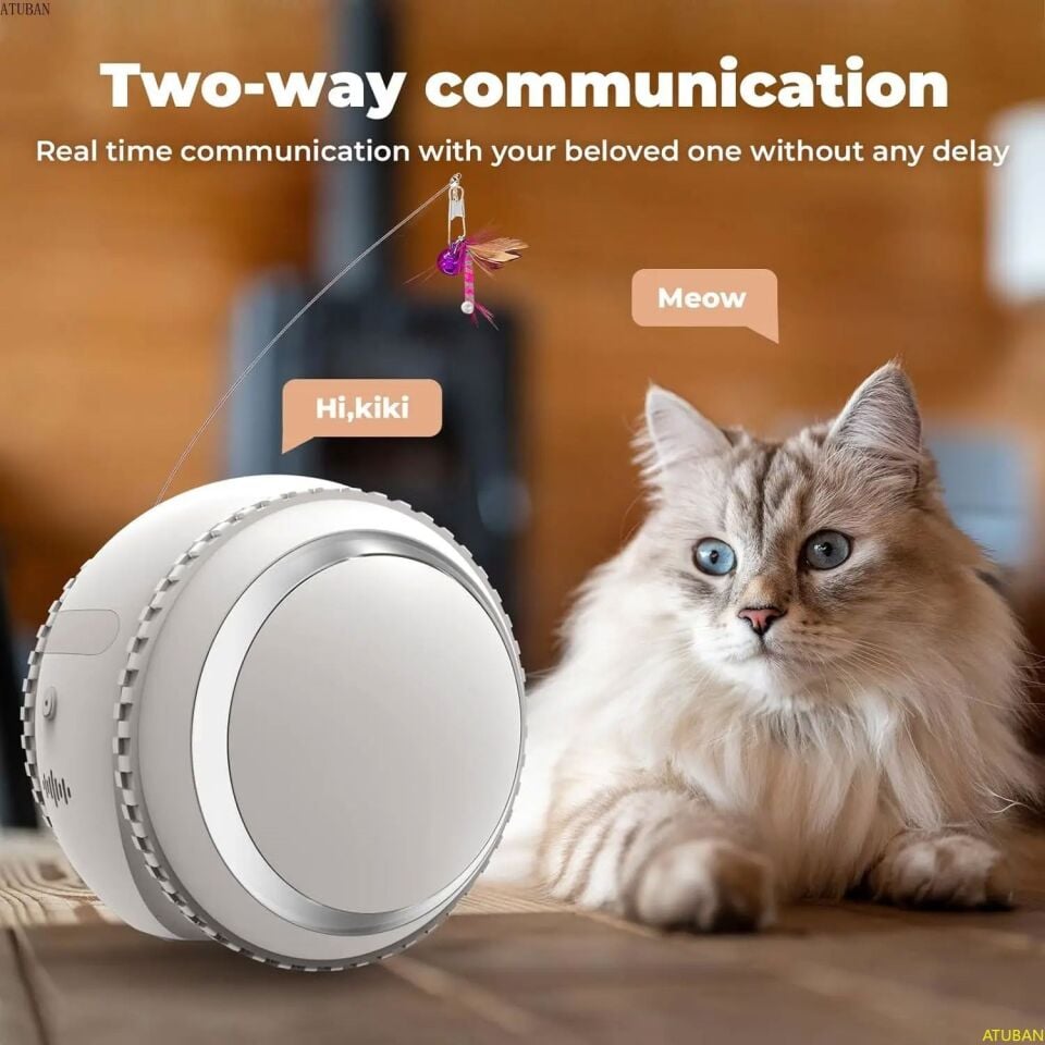 Smart PET Robot Kedi Köpek  Kamerası - Evcil Hayvan Kamerası