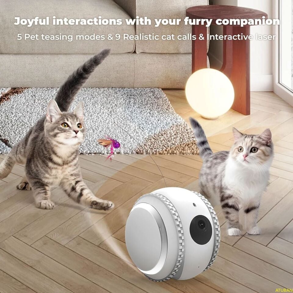 Smart PET Robot Kedi Köpek  Kamerası - Evcil Hayvan Kamerası